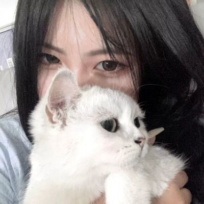 拾光梦行哔哩哔哩版下载