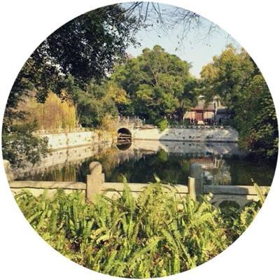 权御大秦手游官方版(暂未上线)v1.0.1 安卓最新版
